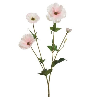 Beauty Home ΛΟΥΛΟΥΔΙ  67CM