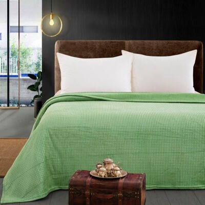 Beauty Home Κουβέρτα μονόχρωμη μονή Fleece Art 11552 160x220 Πράσινο