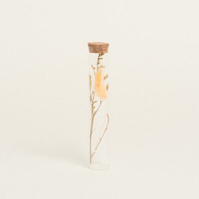 Beauty Home ΓΥΑΛΙΝΟΣ ΣΩΛΗΝΑΣ ΜΕ ΚΛΑΔΙΑ 3 x 18 cm